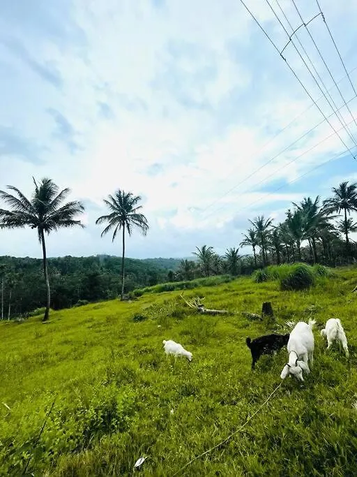 Paradise Point Home Stay Mananthavady 0*,